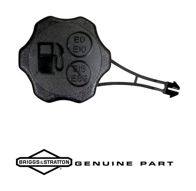 Briggs & Stratton Service Kit for Walk Behind Mower/Snow Blower