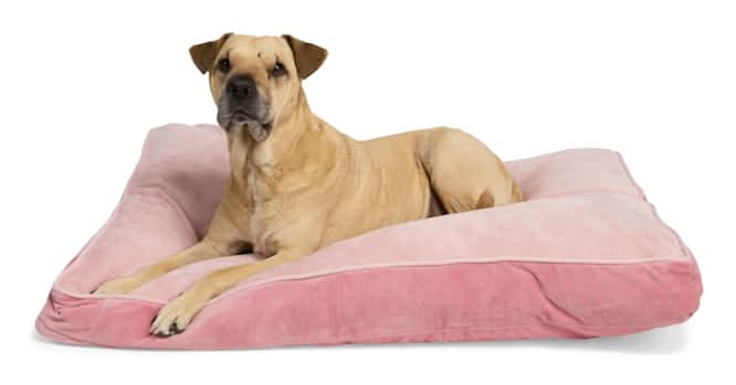EveryYay Rectangle Lounger Dog Bed, L, Pink