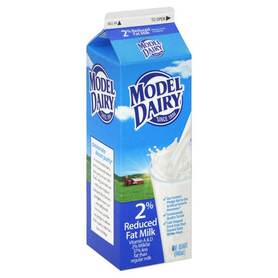Model Dairy Milk (1 qt)
