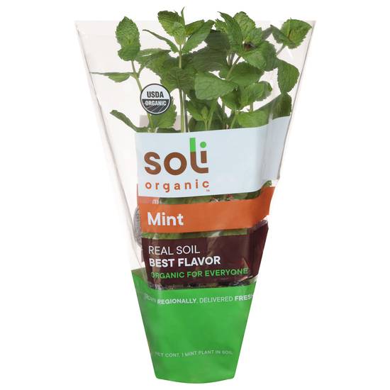 Soli Organic Real Soil Best Flavor Mint