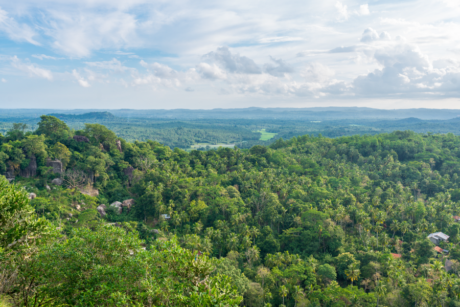 Vista desde el mirador del Santo Cerro
