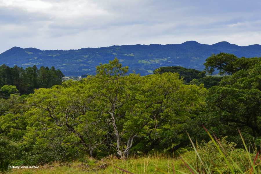 Mirador en San José de la Montaña