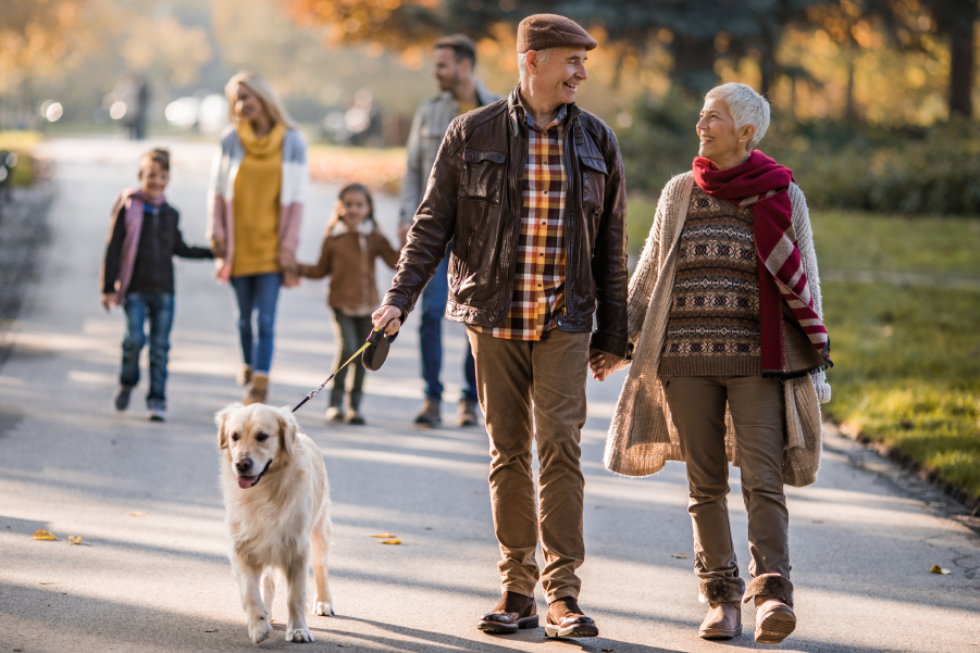 Dos personas paseando un perro en el parque