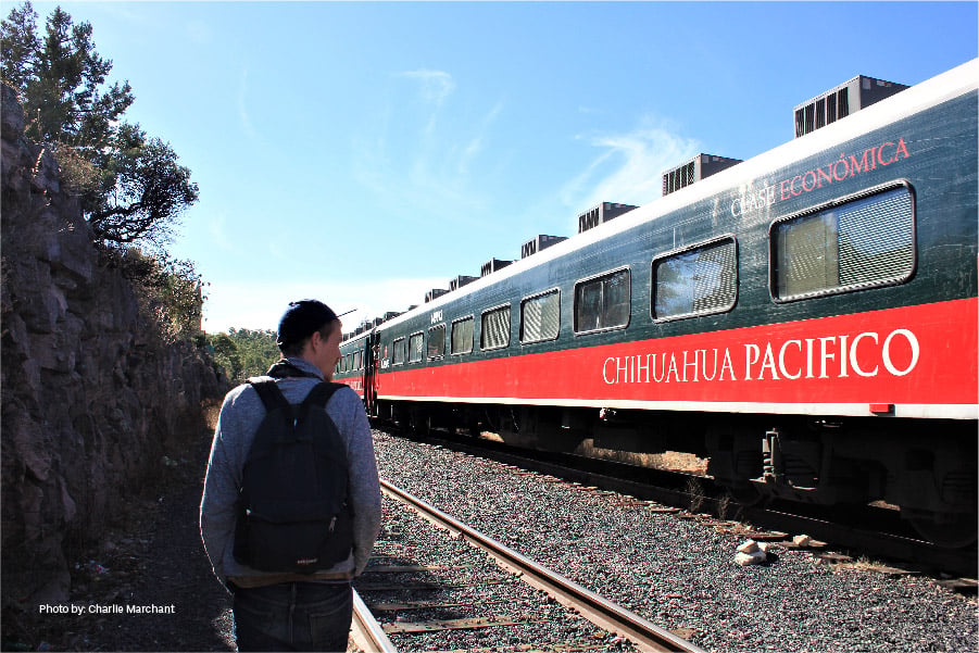 Qué hacer en Chihuahua- El Chepe