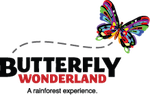 butterfly wonderland