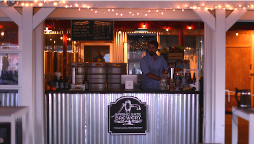 photo via springgatebrewery.com