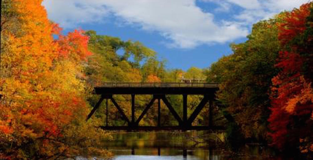 Foliage_bridge_CT