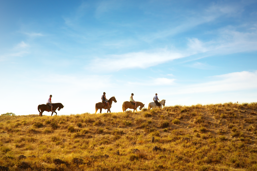 Gente cabalgando por la cordillera