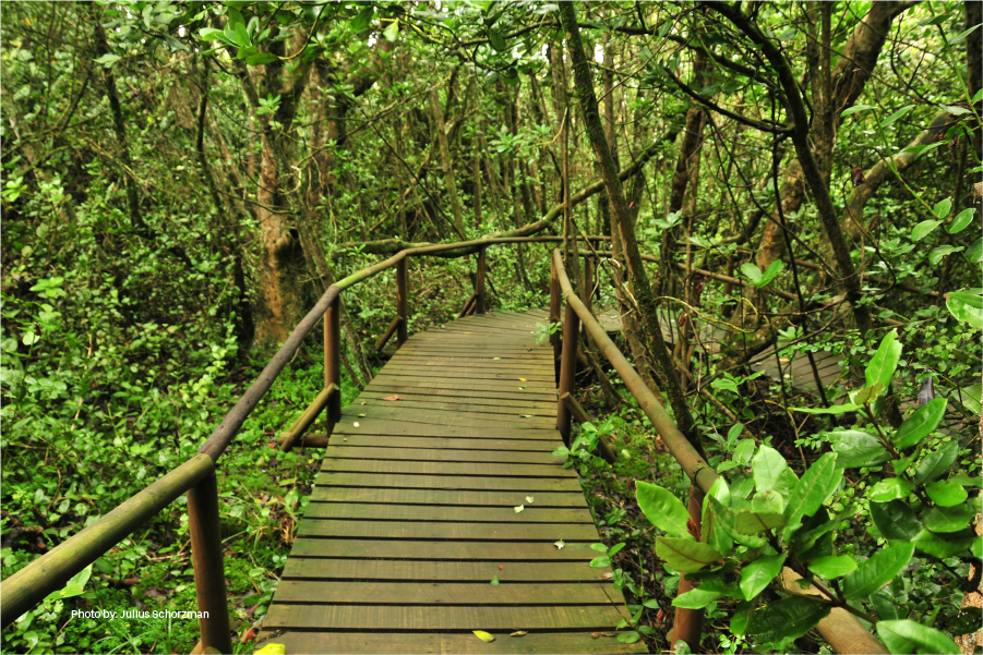 Parques en Santa Cruz de la Sierra - Parque