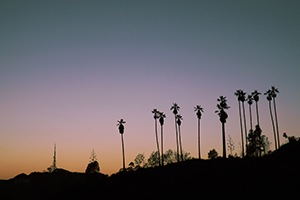 LA_300x200