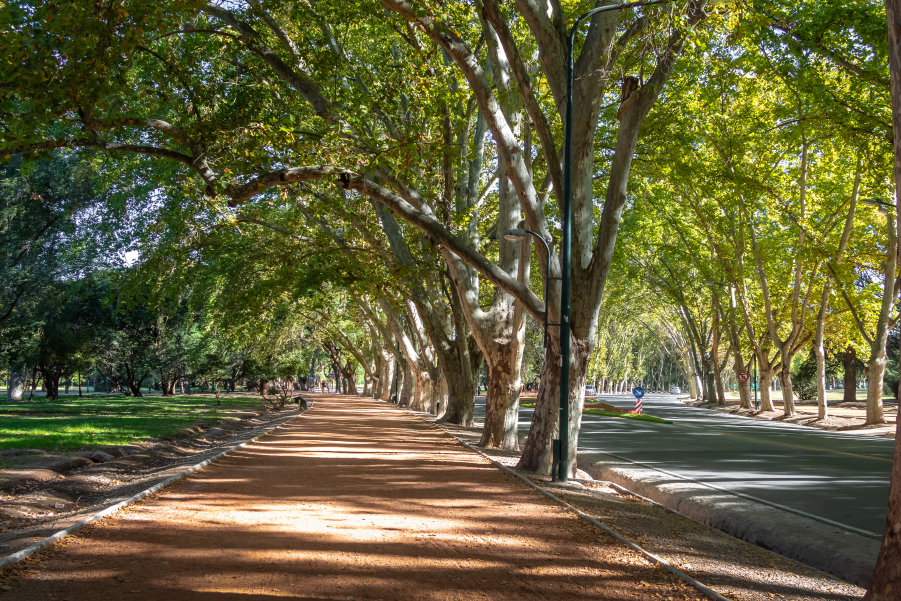 Camino del parque General San Martín para dar un paseo en Mendoza