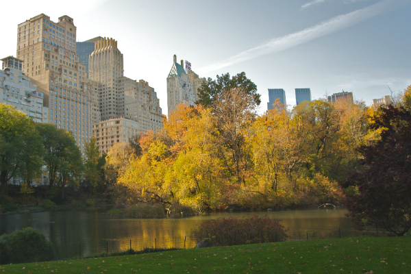 Central_Park_during_Autumn_NYC