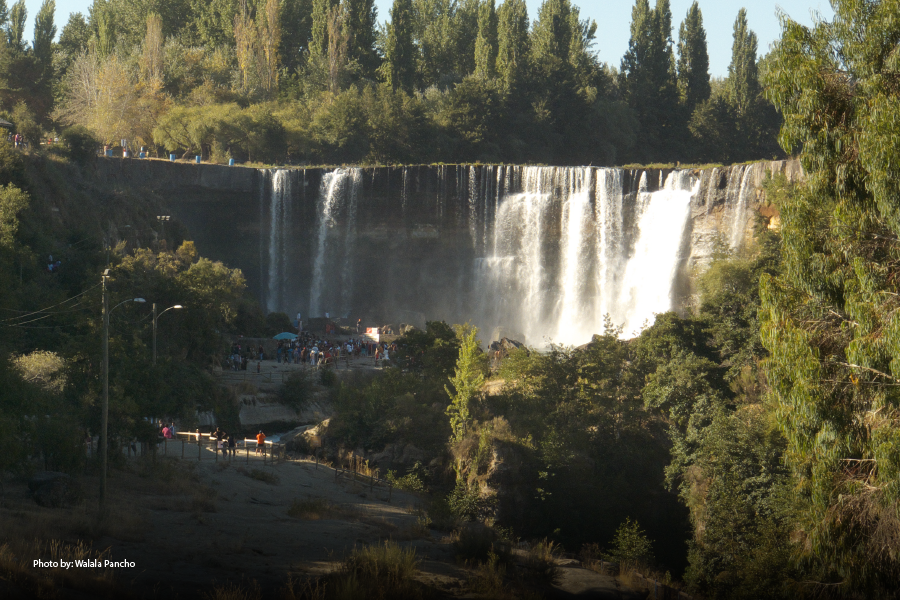Cascada rodeada de árboles
