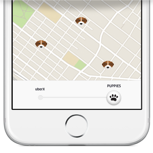 PA-NJ_uberpuppies_half-screenshot_312x312_r2