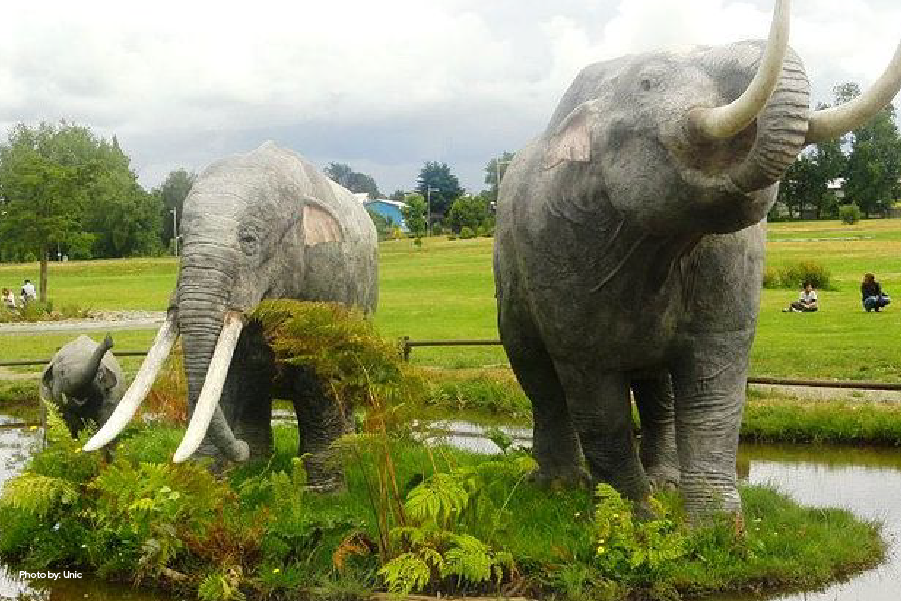 Parque Pleistocénico en Osorno con elefantes