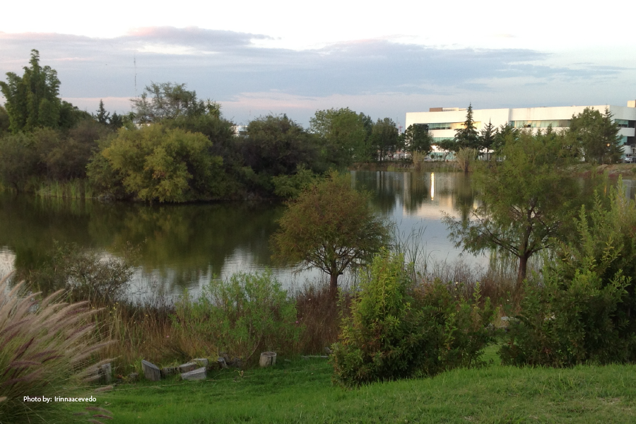 El Jardín Botánico Universitario BUAP