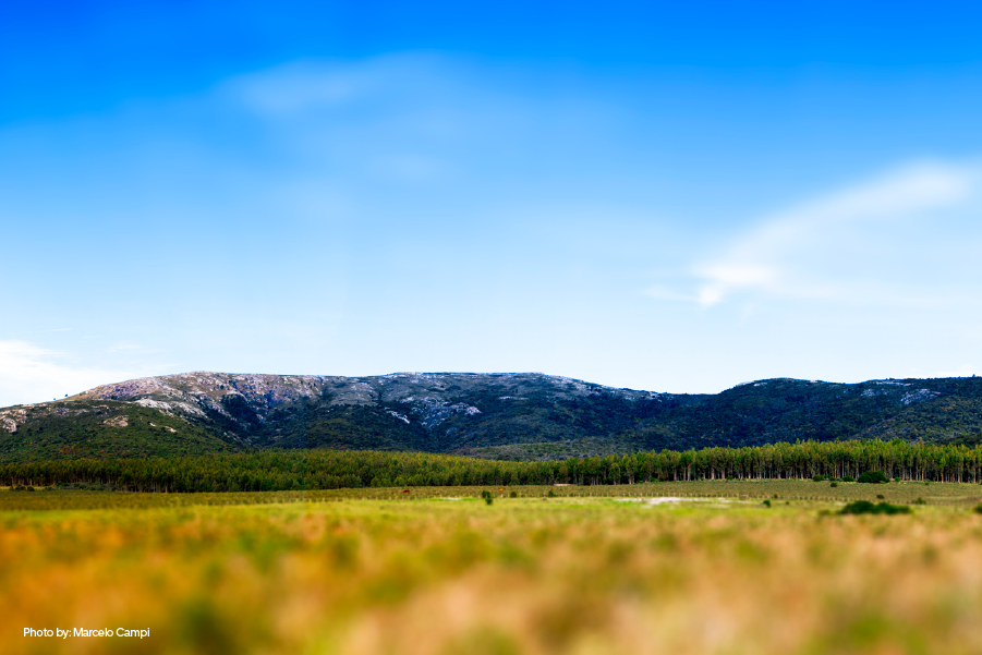 Paisaje de Sierra de las Ánimas, Uruguay.