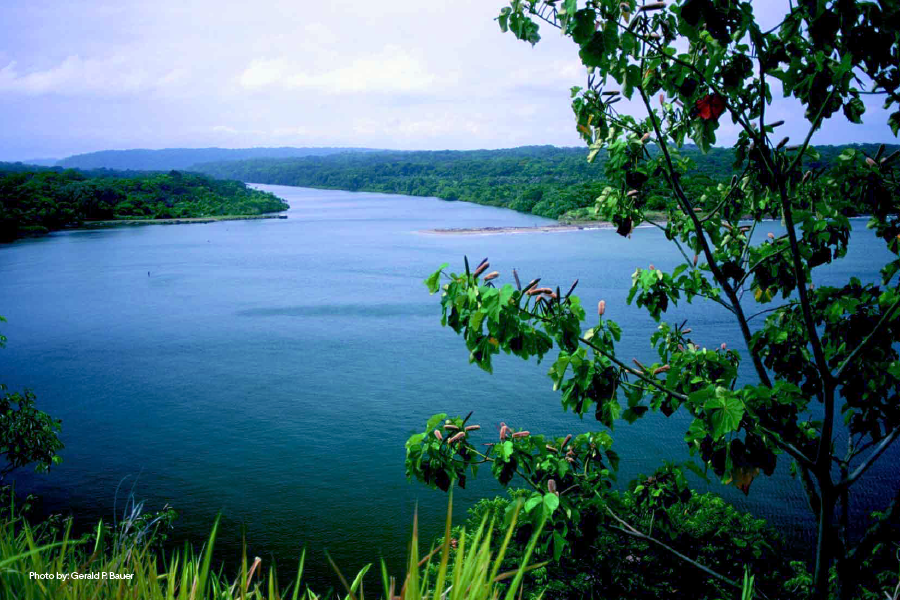 Vista del Parque Nacional Chagres