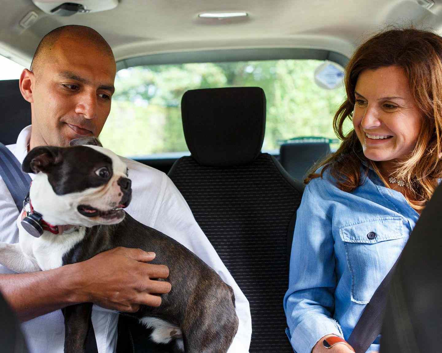 Riders taking dog in Uber ride