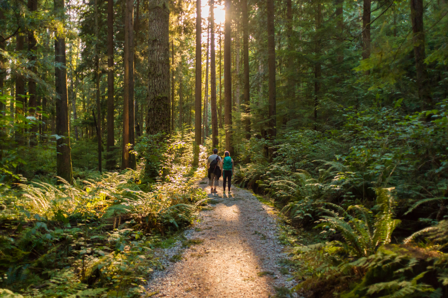 Una pareja paseando por el bosque en un día soleado