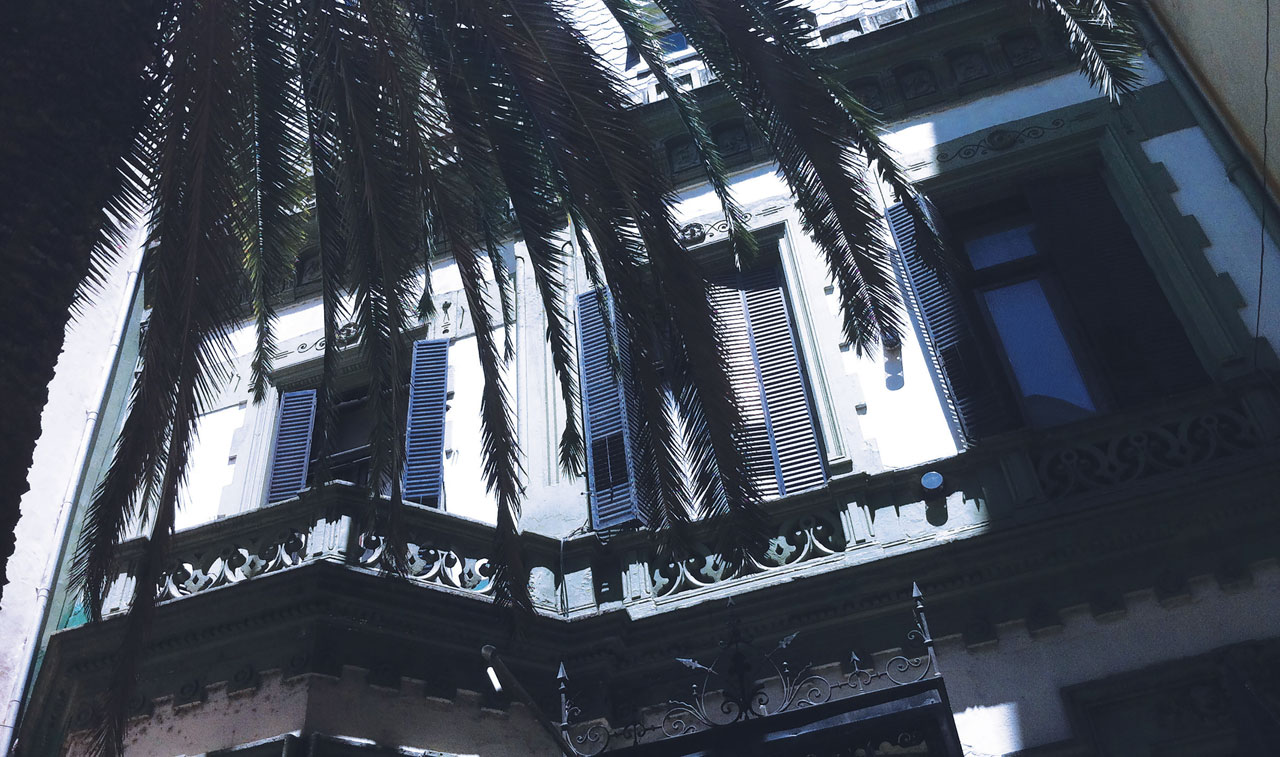 La casa de la palmera