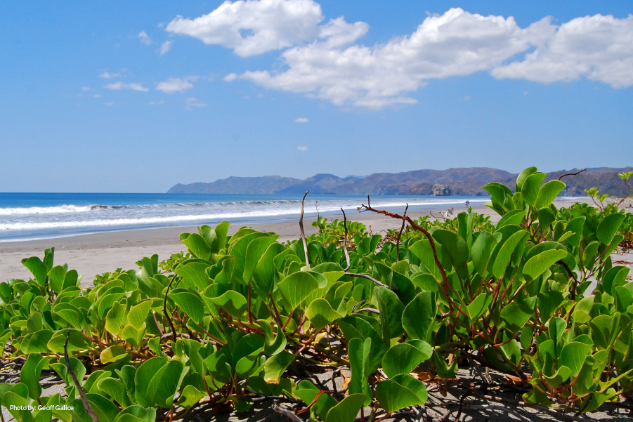 Vista hacia la costa del Parque Nacional Santa Rosa, en Guanacaste, Costa Rica