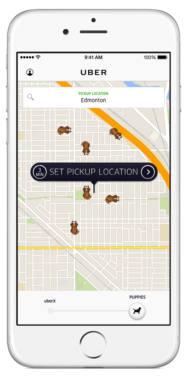 edmonton_puppies_full_screenshot