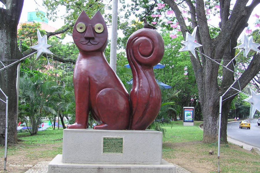 El Gato del Río en Cali