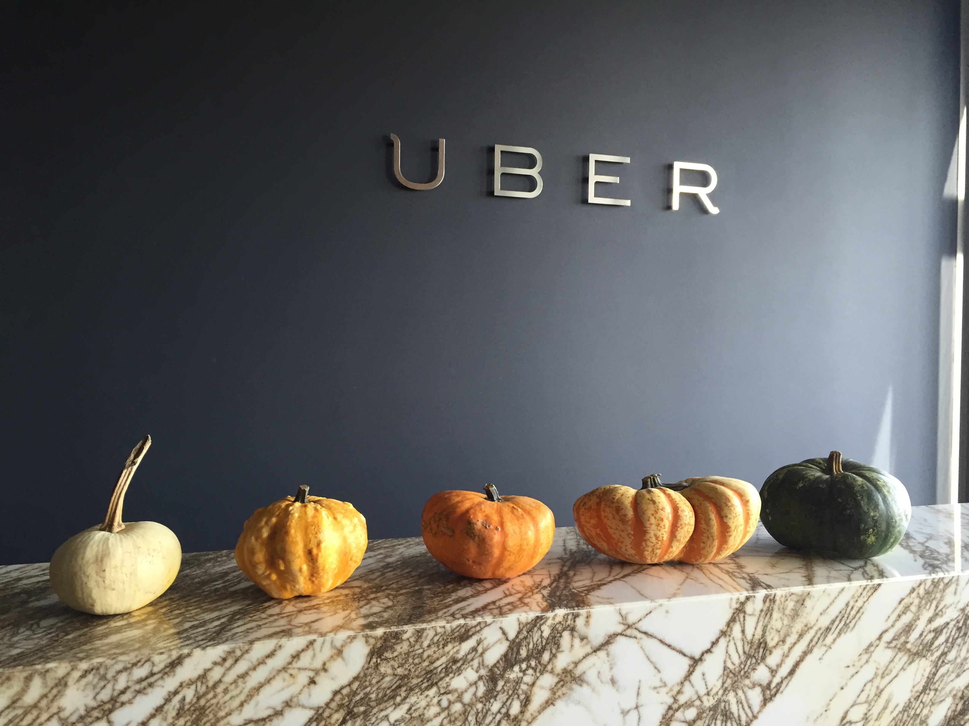 IMG_2368