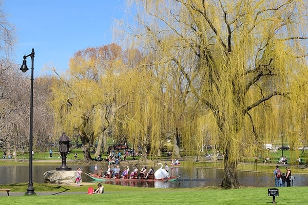publicgarden_600x400