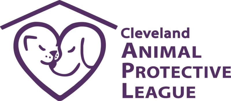 APL Logo