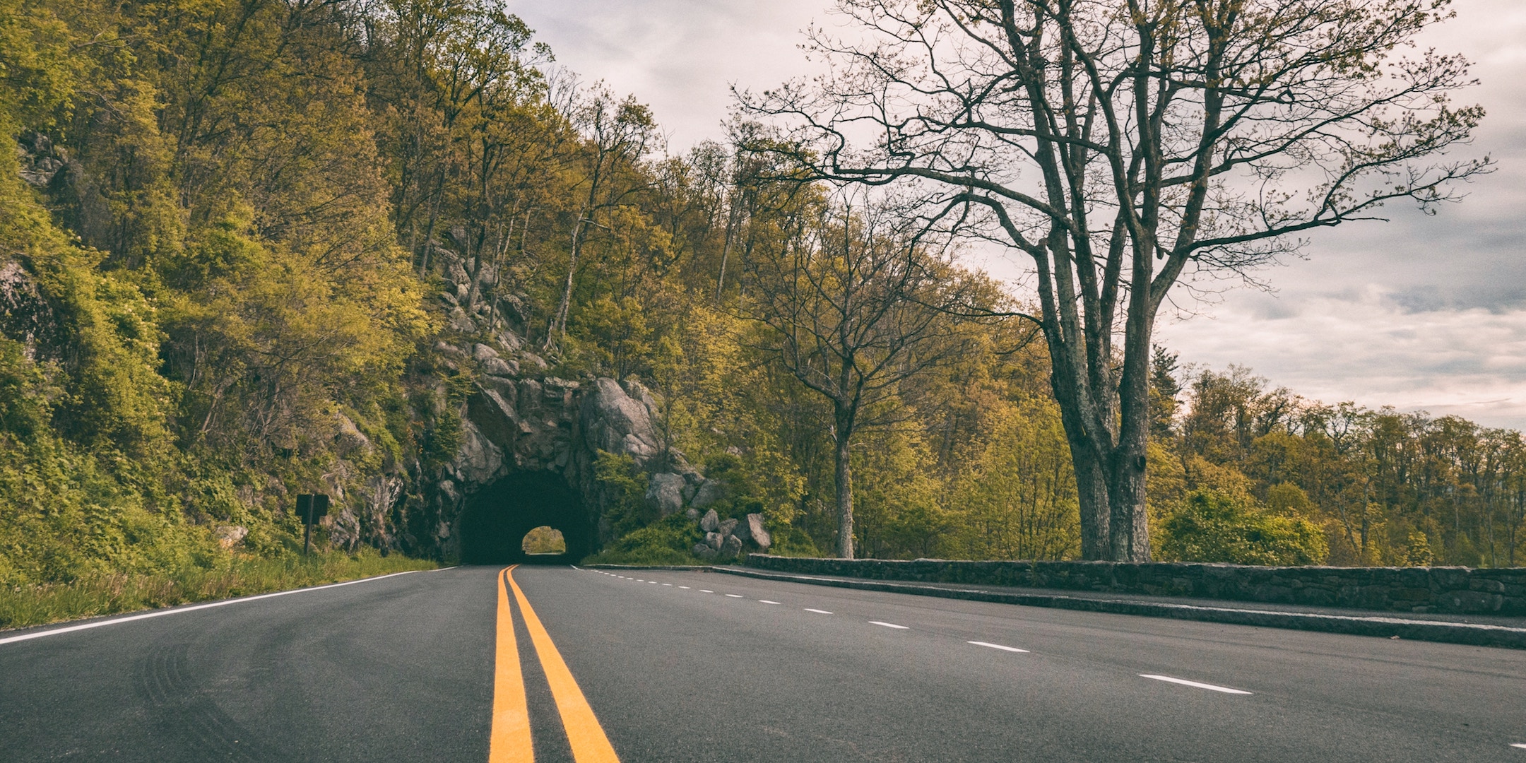 5 picturesque places to visit this fall in DC