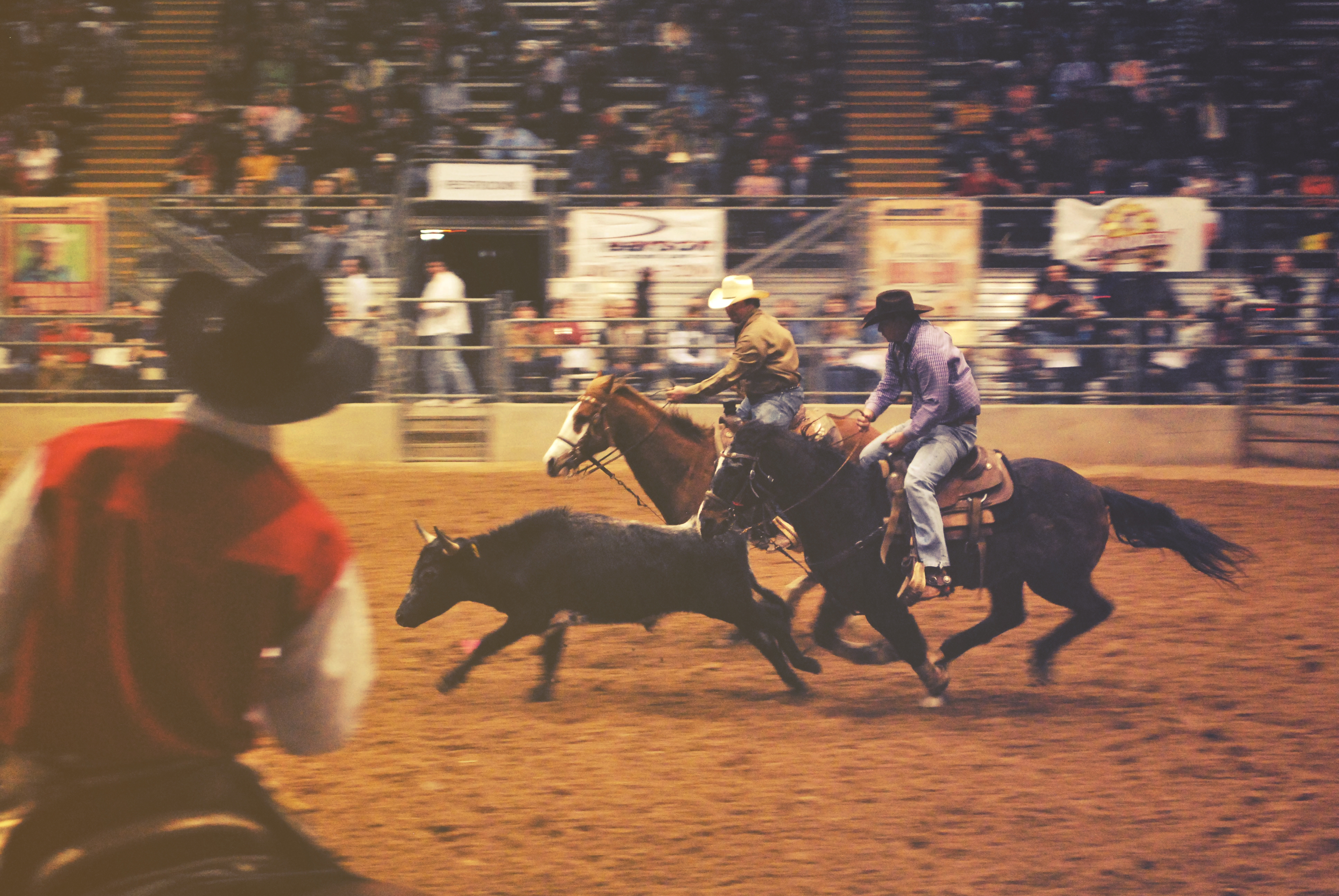 Bull Riding Delta Center Make the Most of your Extra Hour of Daylight
