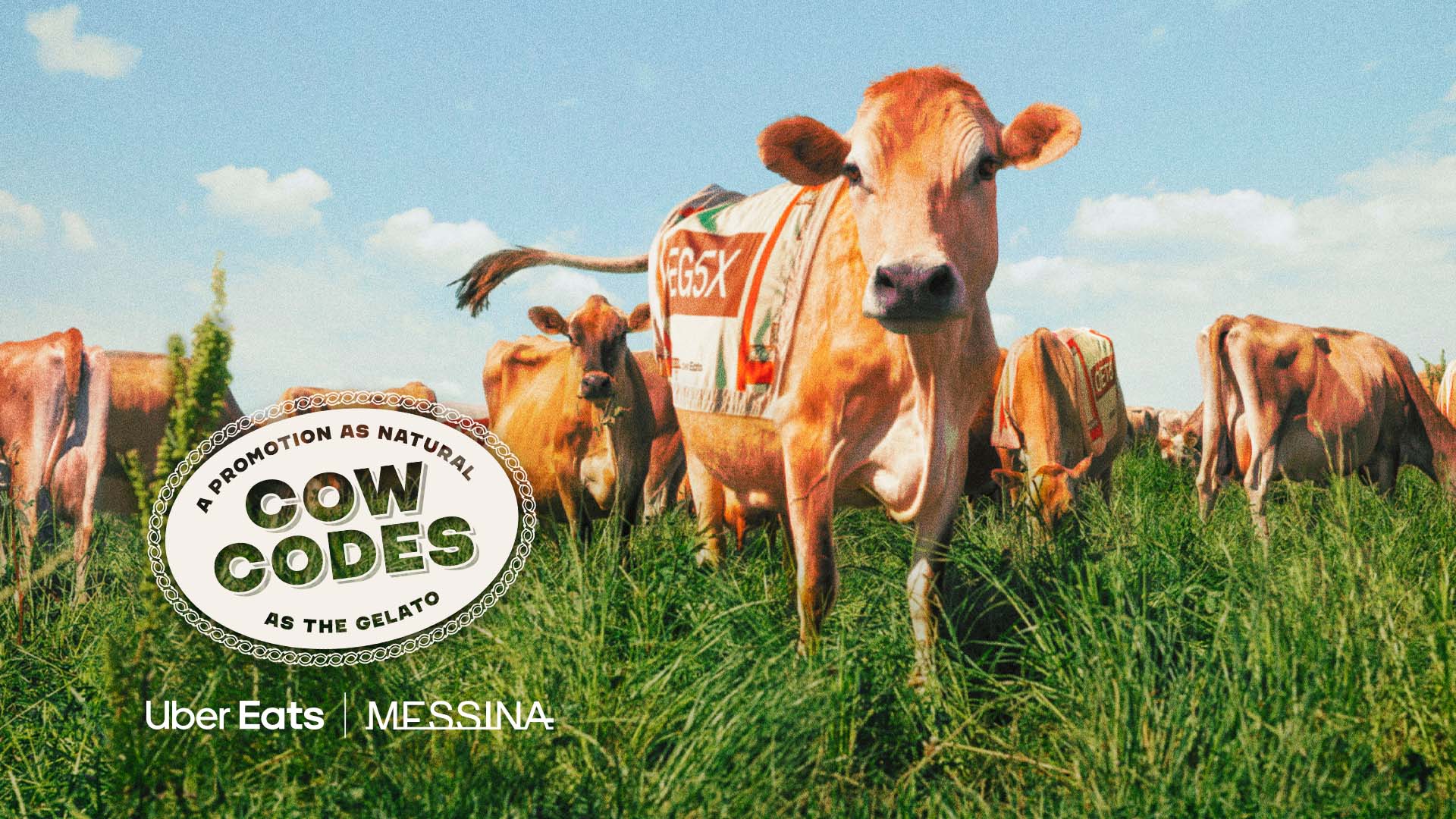 Udderly awesome discounts – Messina’s Cow Codes launches exclusively on ...